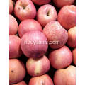 New Crop Fresh Cheap Fuji apple (64-198)